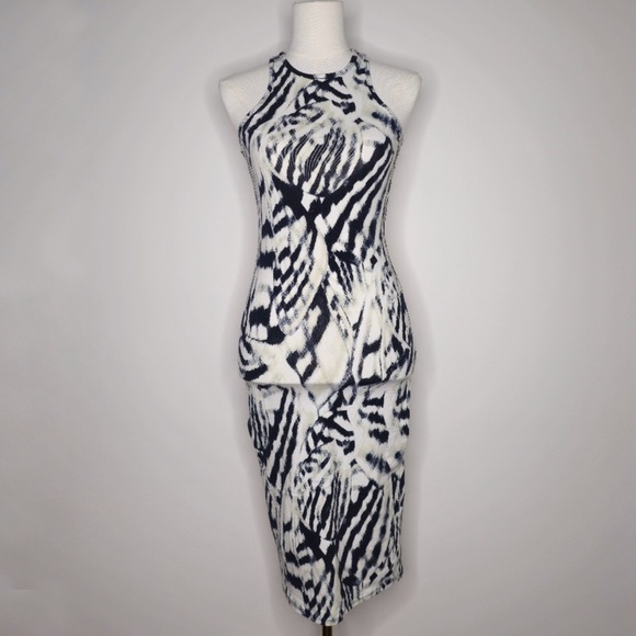Express Printed Midi Dress - Picture 1 of 6